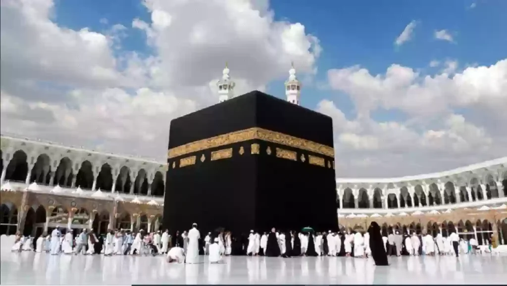 الدليل الكامل الشامل للتقديم