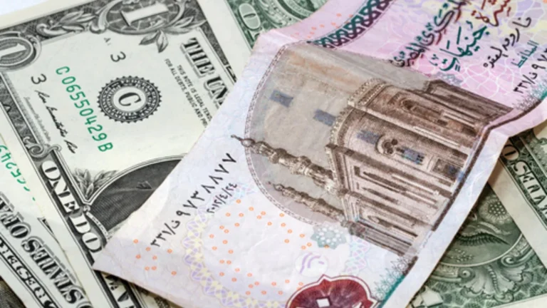 بكم الدولار اليوم في المصارف؟ سعر الدولار امام الجنيه المصري اليوم السبت 8 فبراير وتغيرات في العملة الخضراء
