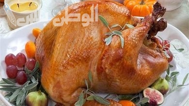 الديك الرومي