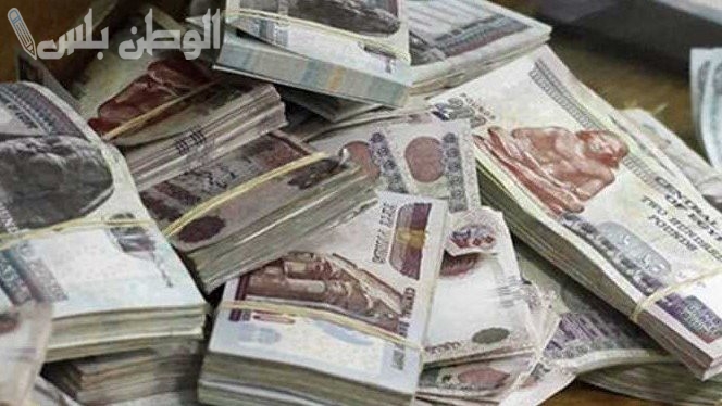 الفئات الجديدة المستفيدة من