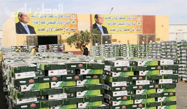 الوادي الجديد تكمل جهودها