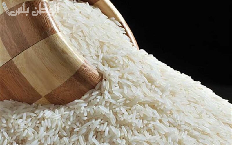بكم طن الأرز اليوم