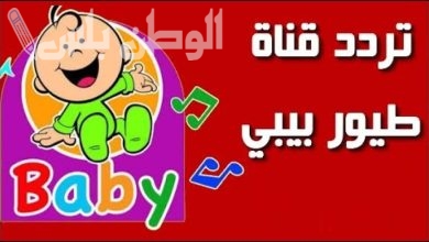 تردد قناة طيور بيبي