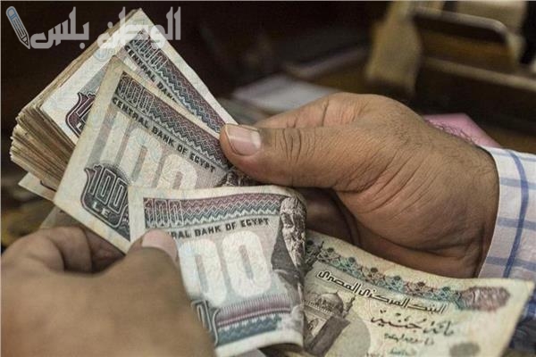 تعديل سن المعاش في مصر 1446.. قرار جديد يصدم الموظفين!