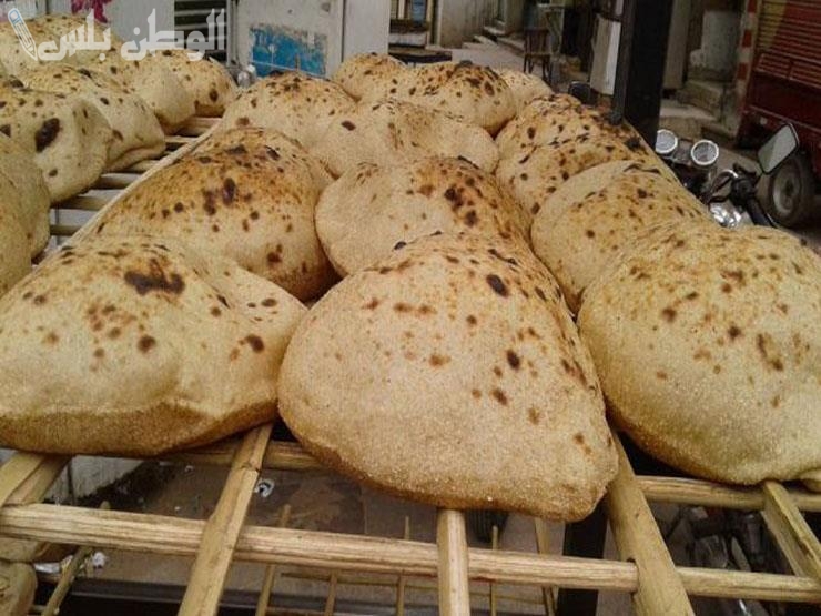 حقيقة زيادة اسعار الخبز