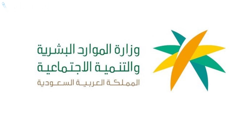 خدمة الشمولية الرقمية