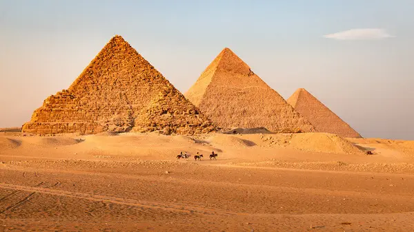 خريج جامعة القاهرة من