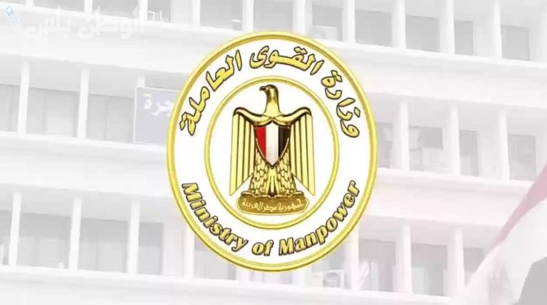 اقبض 1000 جنيه: خطوات تسجيل بيانات العماله غير المنتظمه 2025 عبر الموقع الالكتروني الرسمي manpower.gov.eg