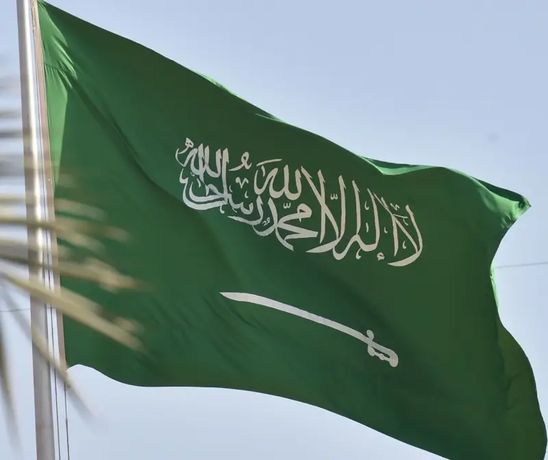 دليل التقديم على البورد