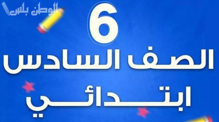 بجميع محافظات العراق.. رابط نتيجة السادس الابتدائي 2025 التمهيدي وطريقة الاستعلام
