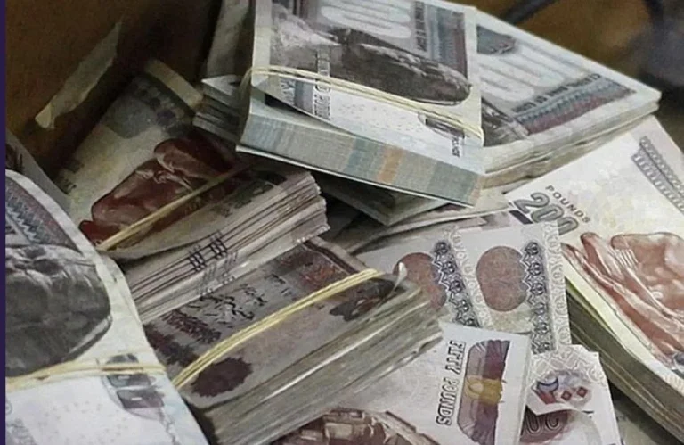 تابع التفاصيل | متى سيتم إيداع رواتب موظفي الحكومة والقطاع الخاص لشهر فبراير 2025؟ وزارة المالية تعلن الجدول الرسمي