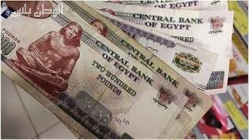 زيادة المرتبات