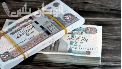 زيادة المعاشات