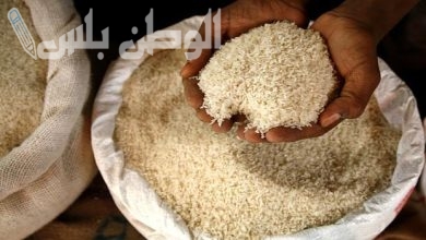 سعر الأرز الشعير