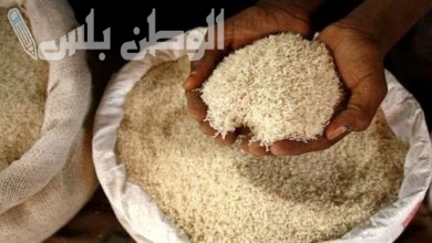 سعر الأرز الشعير اليوم