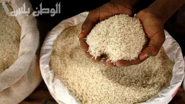 سعر الأرز الشعير اليوم في السوق المصري.. إلى أين وصلت الأسعار حسب آخر التعاملات؟