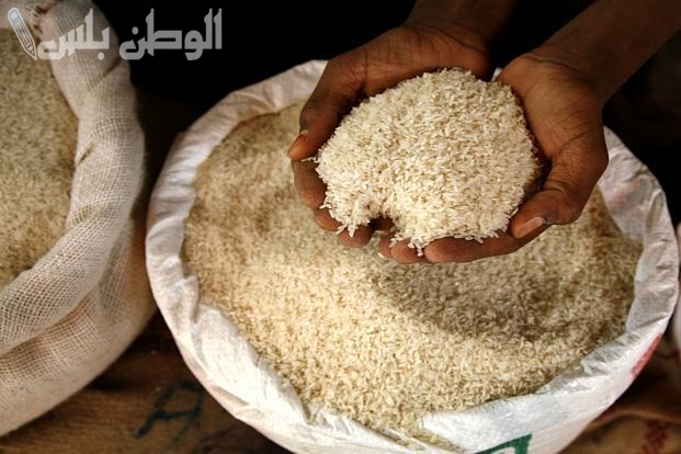 سعر الأرز الشعير
