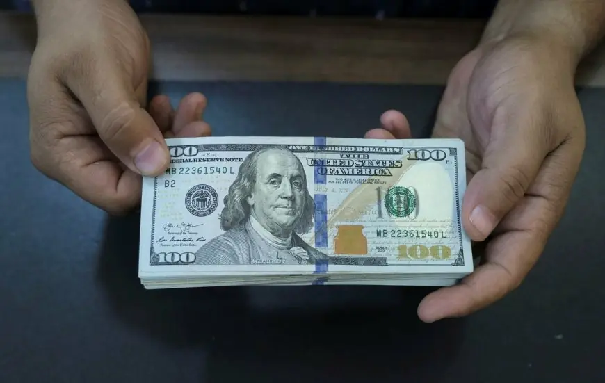 سعر الاخضر اليوم