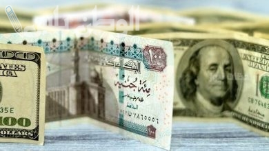 سعر الجنيه المصري