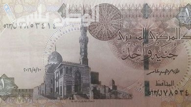 سعر الجنيه المصري