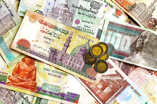 سعر الجنيه المصري