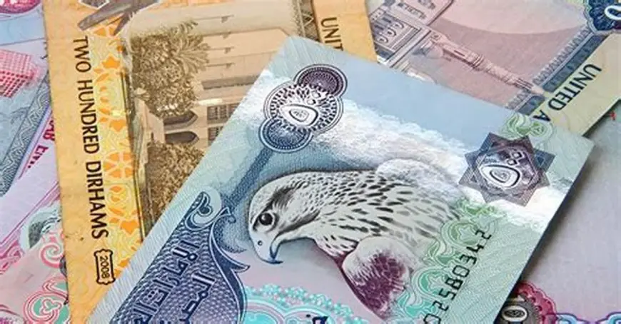 سعر الدرهم الإماراتي أمام