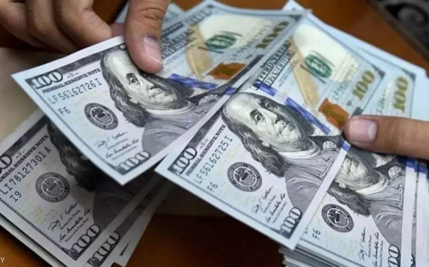سعر الدولار اليوم في