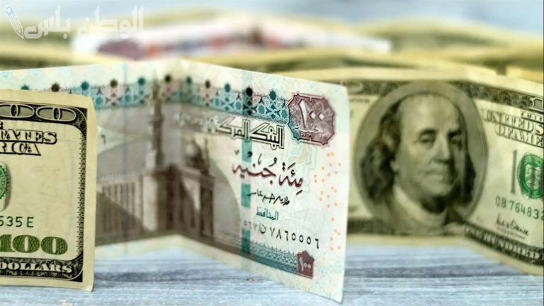 تراجع مثير سعر الدولار مقابل الجنيه المصري الخميس 13 فبراير 2025 انخفاض سريع