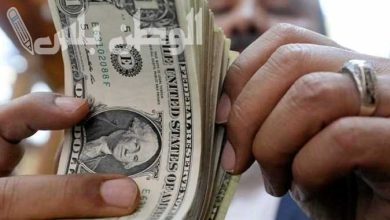 سعر الدولار مقابل الجنيه المصري اليوم