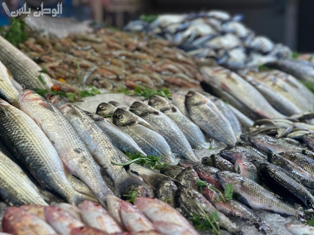 سعر  السمك والجمبري والمأكولات