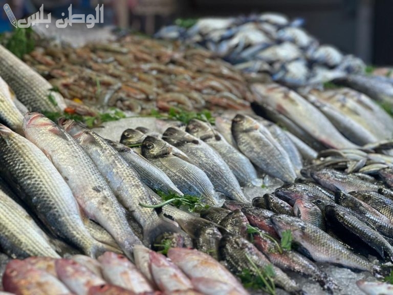 بكام سعر السمك والجمبري والمأكولات البحرية في السوق المصري يوم 5 فبراير 2025