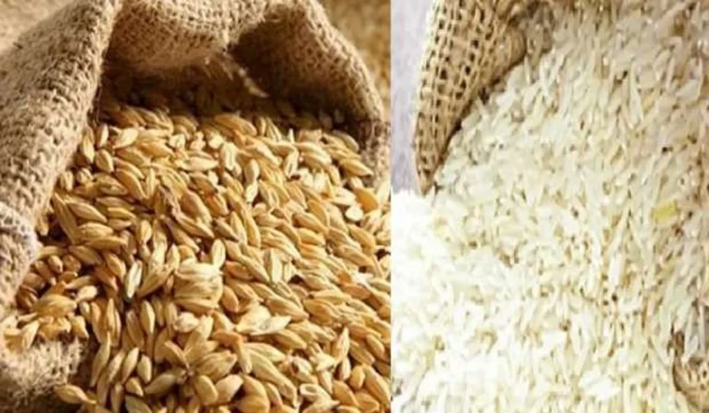 سعر طن الأرز الشعير