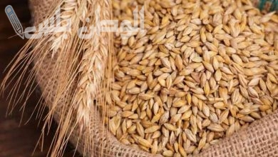 سعر طن الأرز الشعير اليوم الخميس