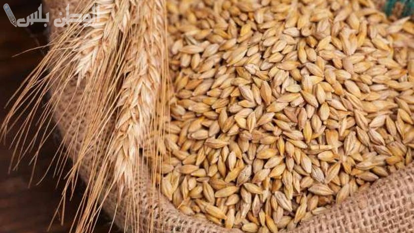 سعر طن الأرز الشعير