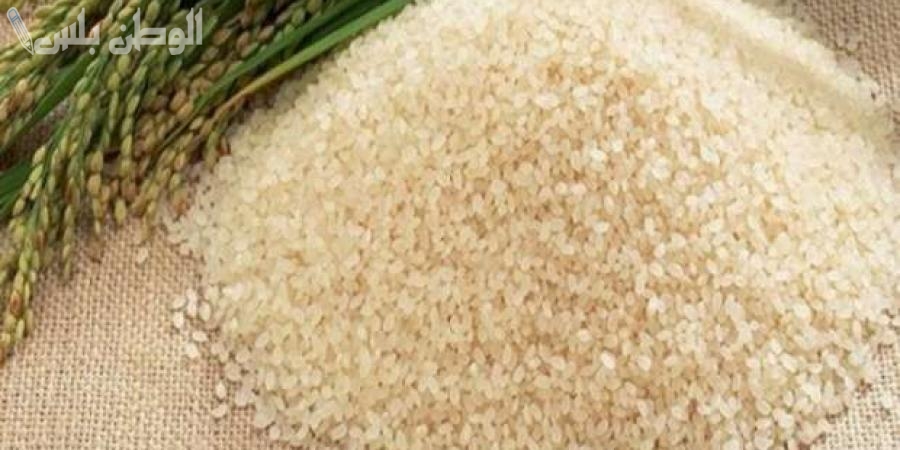 سعر طن الأرز الشعير