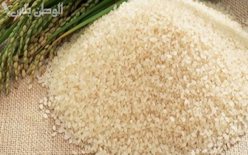 سعر طن الارز
