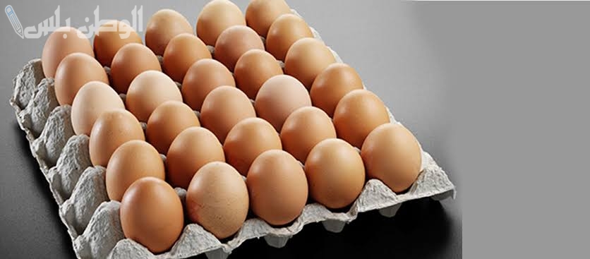 سعر كرتونة البيض الأحمر