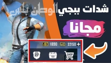 شحن شدات ببجي