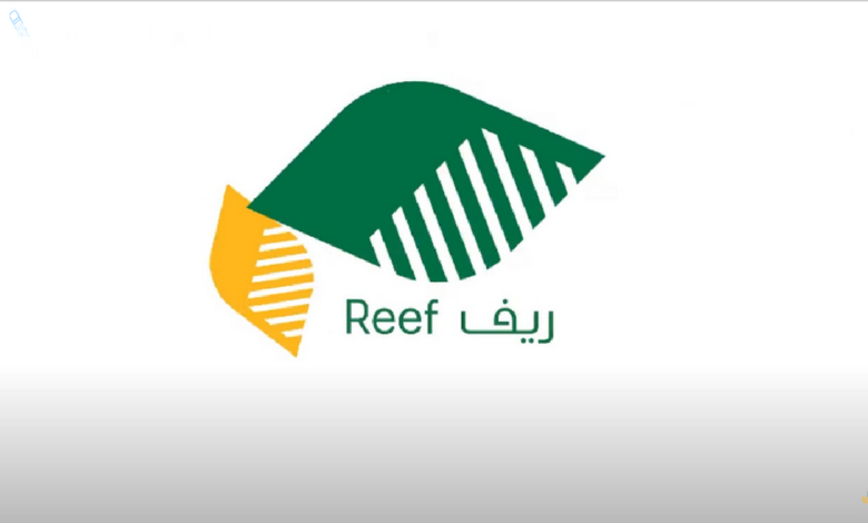 شروط التسجيل في برنامج
