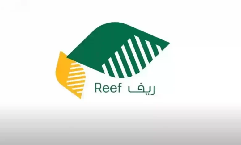 شروط التسجيل في برنامج