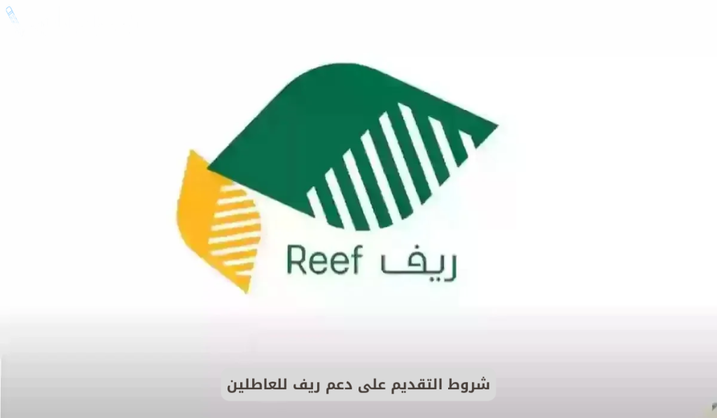 شروط التسجيل في دعم