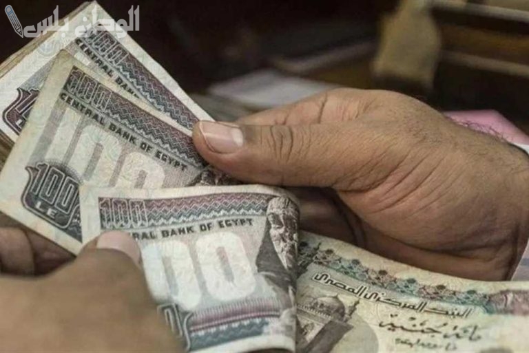 صرف فوري جدول صرف مرتبات شهر فبراير 2025 بعد الزيادات الجديدة للموظفين في الحكومة والقطاع الخاص