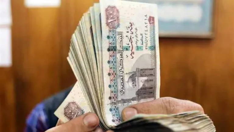 كم ستكون زيادة المعاشات للمتقاعدين؟ مؤسسة التقاعد تعلن عن نسب الزيادة الجديدة