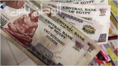 مرتبات شهر فبراير
