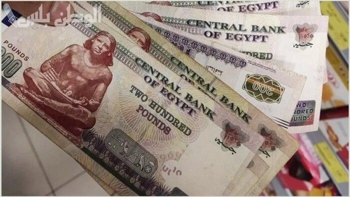 مرتبات شهر فبراير
