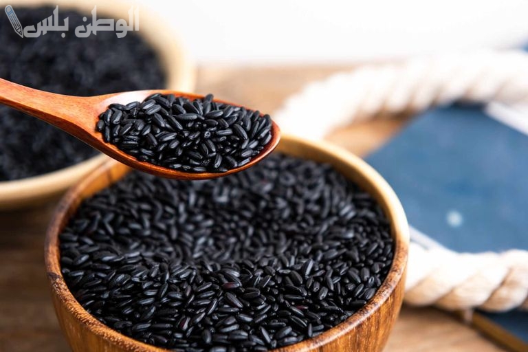مصر تحظر زراعة الأرز