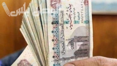 منحة العمالة الغير منتظمة