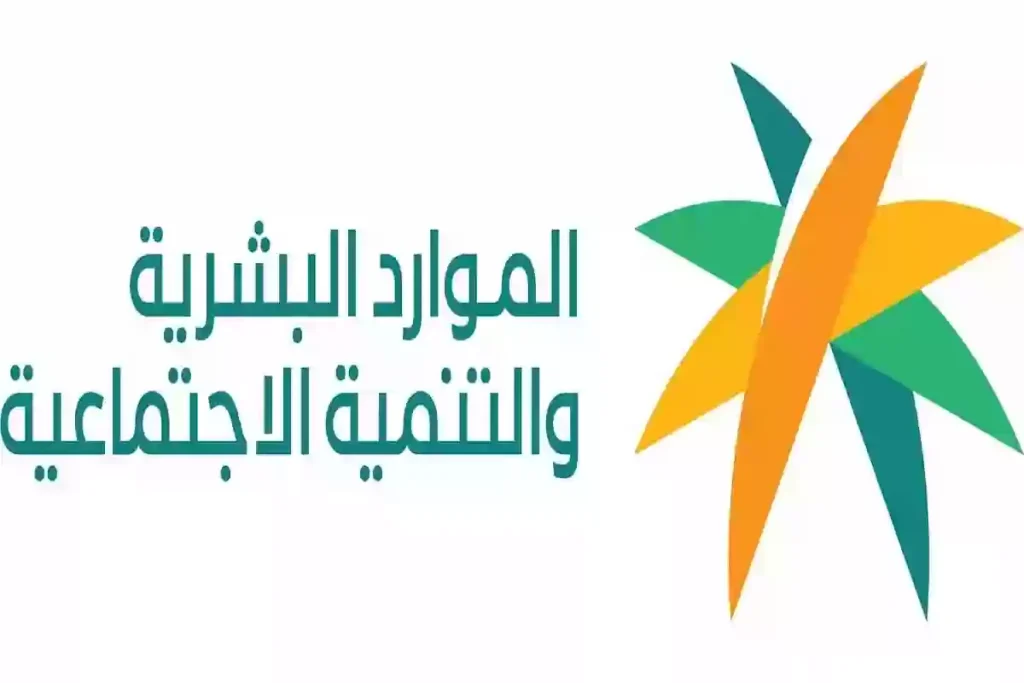 نظام النفاذ