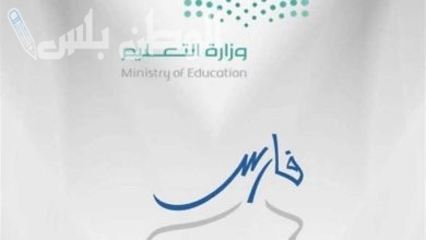 نظام فارس