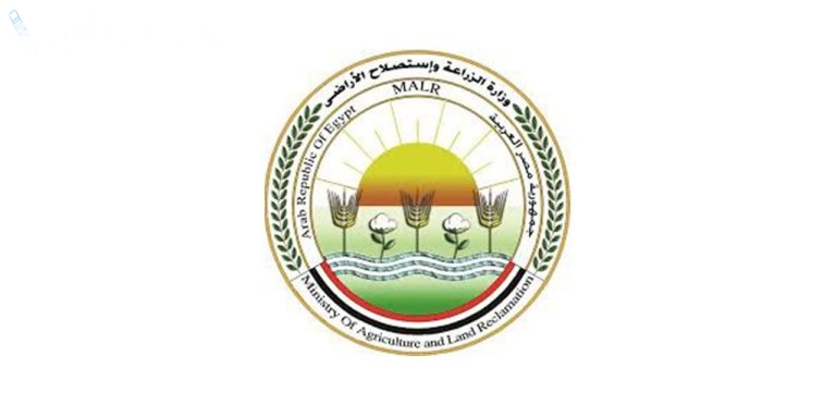 وزارة الزراعة تعلن عن استراتيجيات جديدة لزيادة إنتاج المحاصيل الاستراتيجية